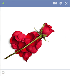 Red Rose Emoticon For Facebook