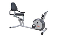 Sunny Health & Fitness SF-RB4601 Recumbent Exercise Bike, review features compared with SF-RB4602