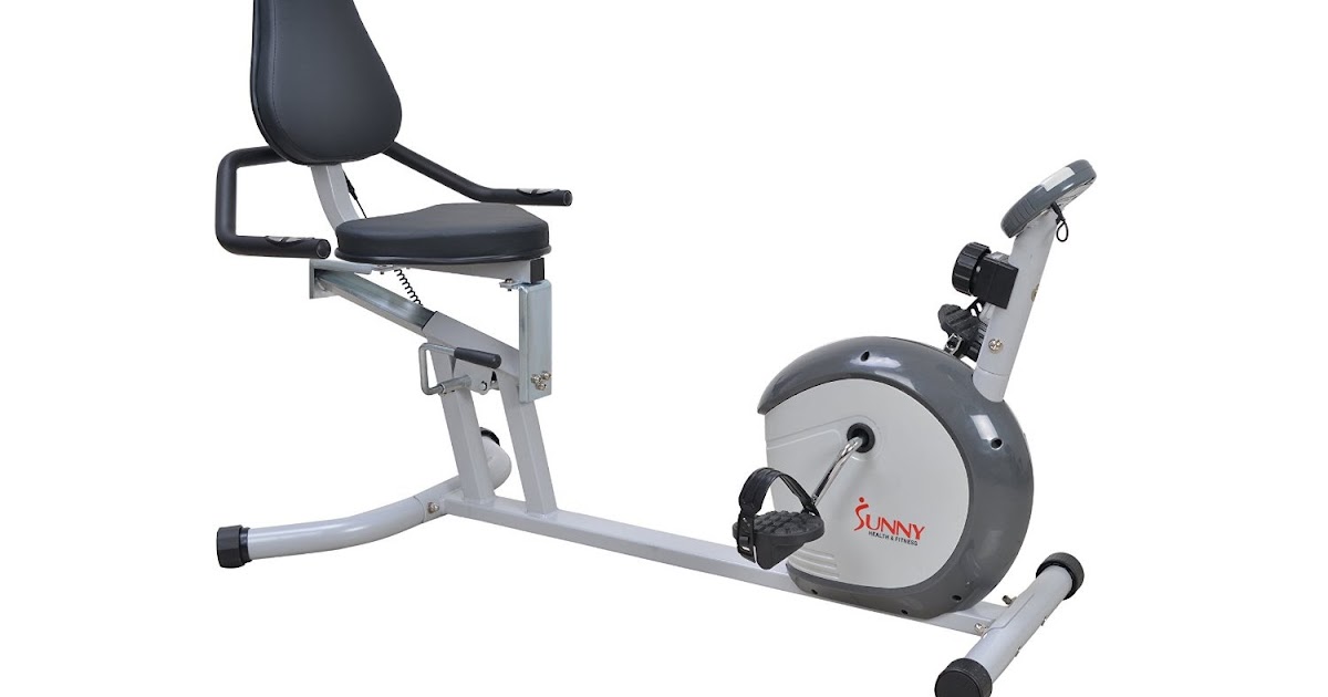 Exercise Bike Zone: Sunny Health & Fitness SF-RB4601 ...