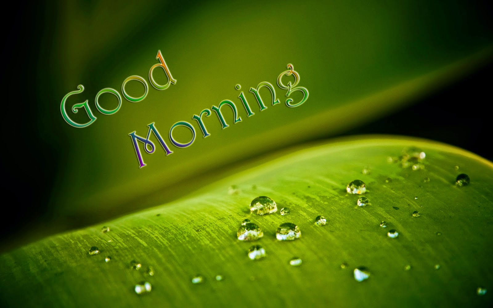 good-morning-images good-morning-images