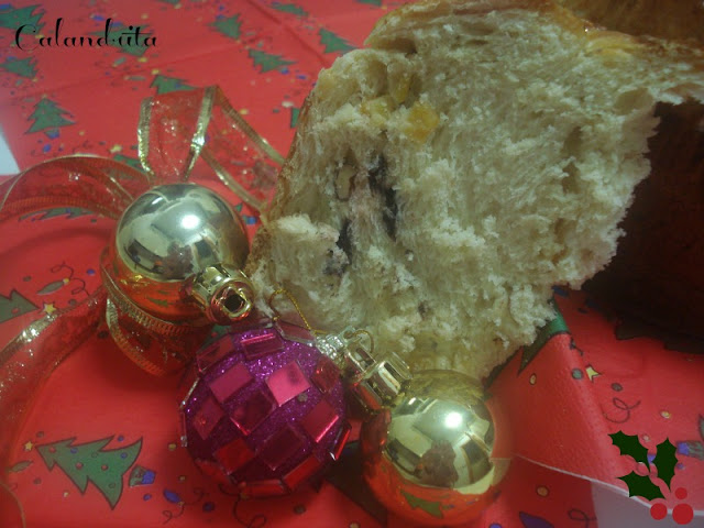 DSC04834-panettone.jpg