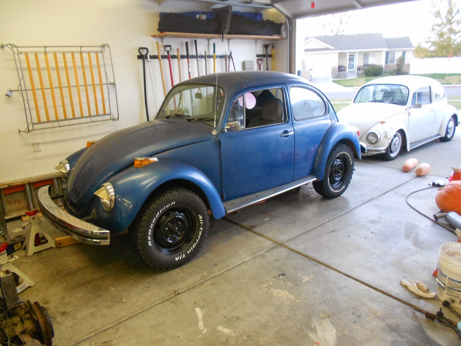 The Bug Boys The class 11 bug is back on the ground.