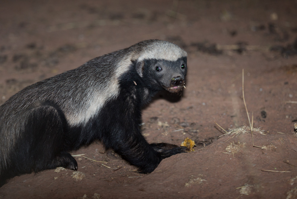 The f8 Group: Photography and Occasional Commentary: The Trouble with