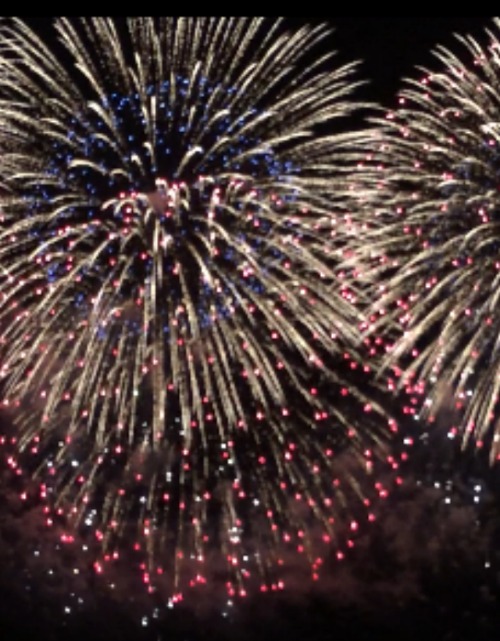 On 4th Of July Just This One Time I >> Pine Cones And Acorns Just Curious What Are Your Favorite 4th Of On 4th Of July Just This One Time I >> Pine Cones And Acorns Just Curious What Are Your Favorite 4th Of
