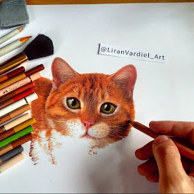 02-Liran-Vardiel-Animal-Drawings-using-Colored-Pencils-www-designstack-co