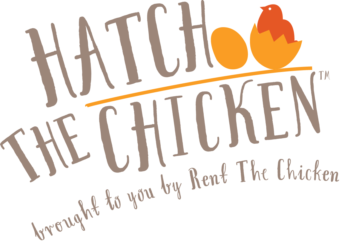 Ask us about Hatch The Chicken