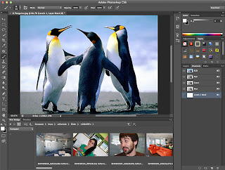 adobe photoshop cs6 torrent download full version adobe photoshop cs6 torrent download full version