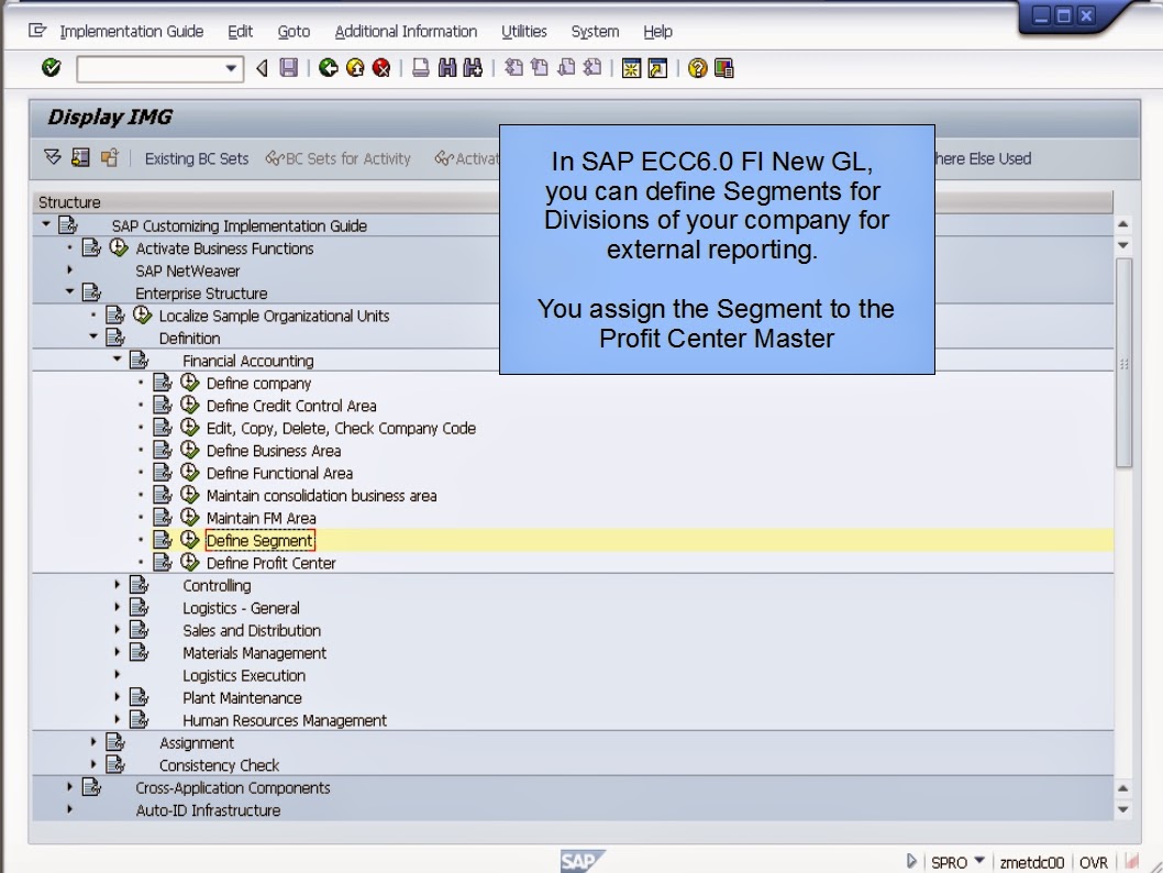 青蛙SAP分享 Froggy's SAP sharing SAP FI Maintaining Profit Centers, Cost