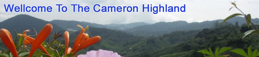 Cameron Highlands | cameron highlands Resort and Hotels