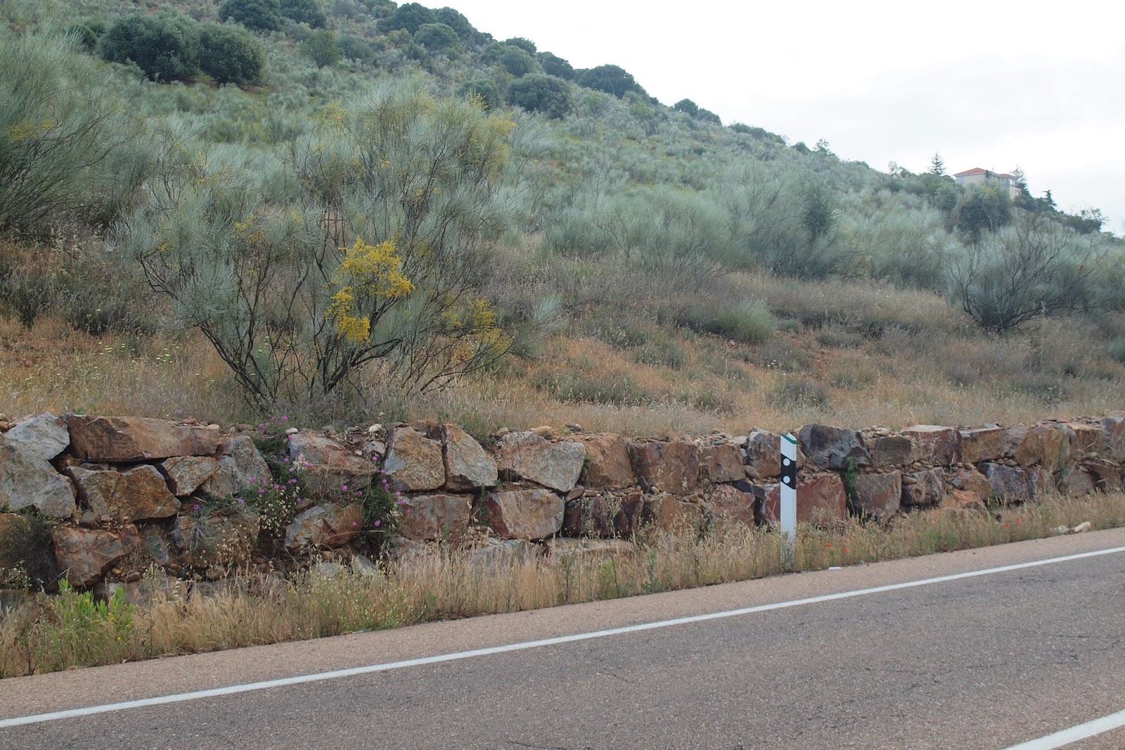 GEOLOGÍAS DE EXTREMADURA Reptación en la ladera del Quinto Cecilio