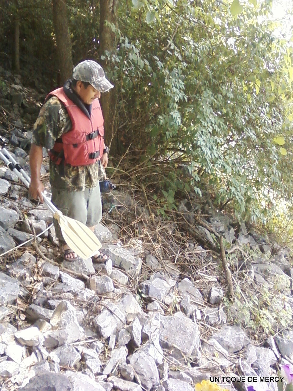 UN TOQUE DE MERCY: MI PATIO....UN DIA CON CLIMA DELICIOSO...JOA BAJA AL