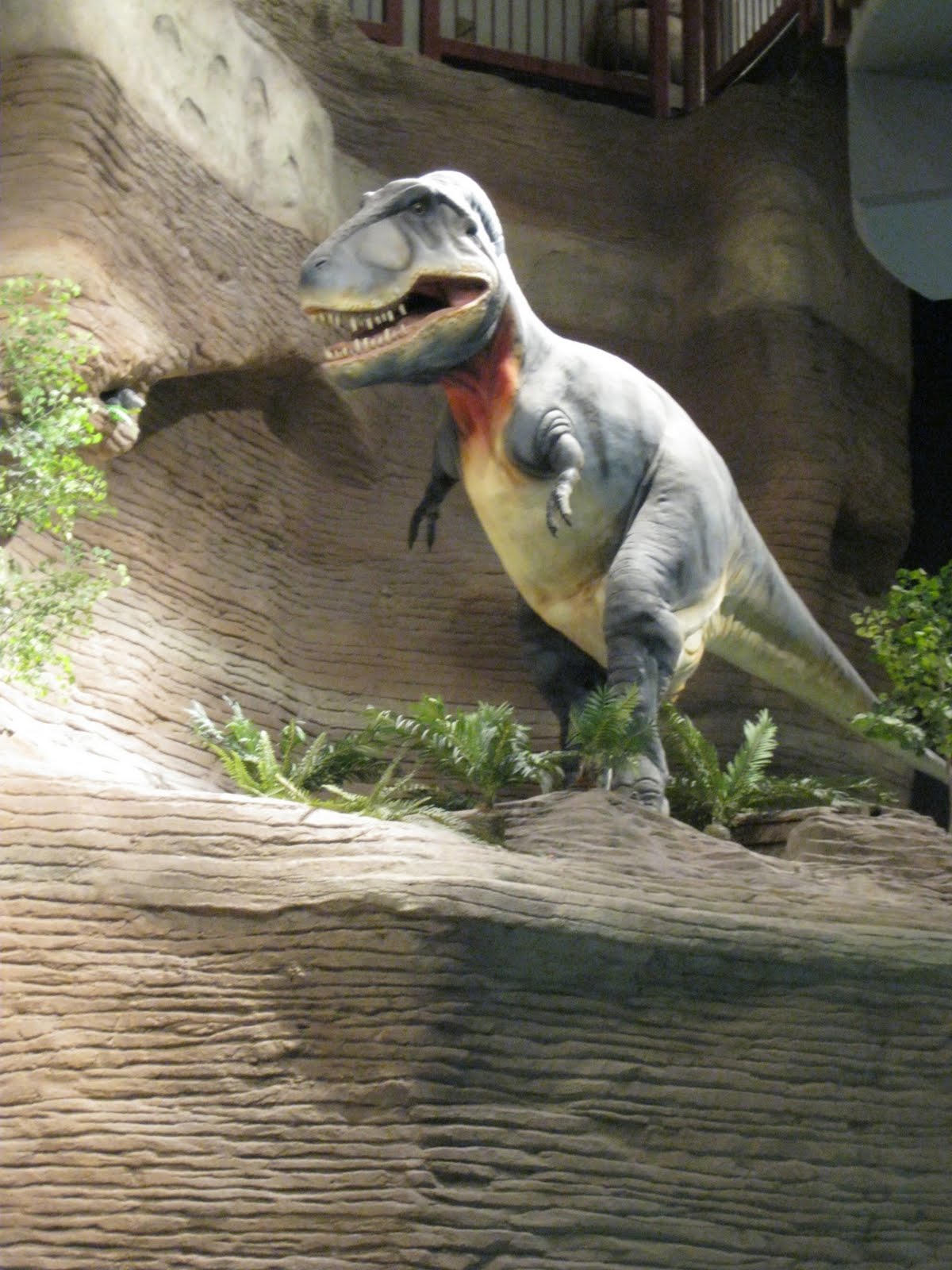 Our Sweet Lovely Life! Arizona Museum of Natural History