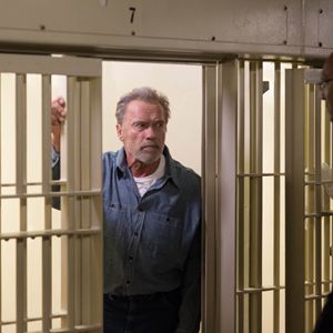 arnold 20 cine arnold 20 cine