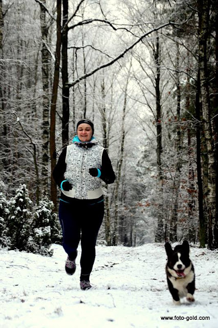 golden retriever, spacer, las, bieganie z psem, z psem w lesie, biegaj z psem, bieganie, jogging