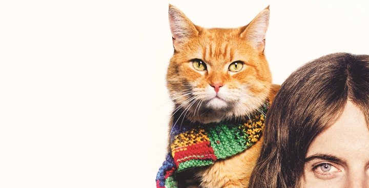 Cathy Cassidy Dreamcatcher Movie Monday A Street Cat Named Bob