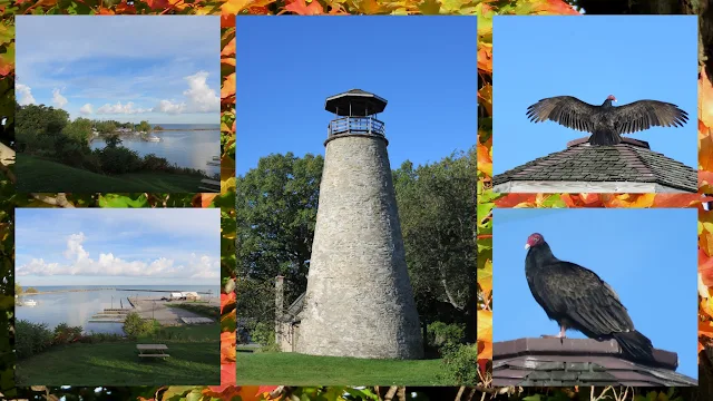 Things to do in Westfield, New York: Barcelona Lighthouse and Turkey Vultures