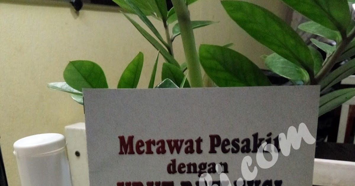 Merawat Pesakit dengan Urut Refleksi 1 Abe Urut
