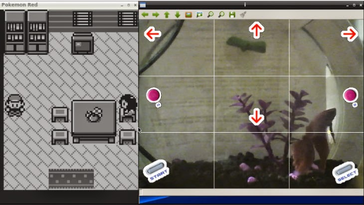 pokemon planet fishing lvl pokemon planet fishing lvl