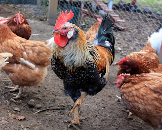 kuuma alasti tyttöjen perse kuvia