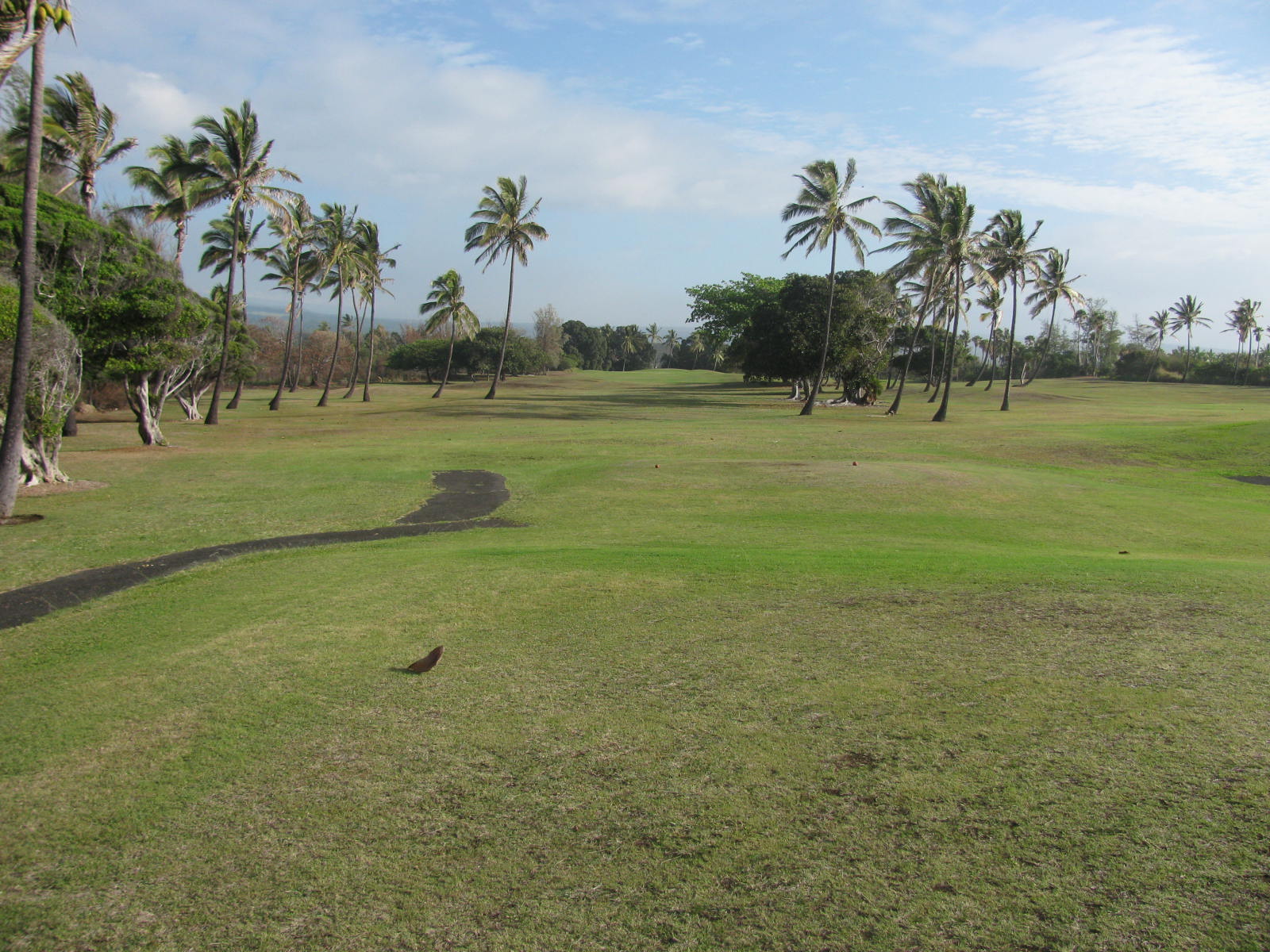 My Slice of Golf (John B) Sea Mountain Resort, Punaluu Big island Hawaii