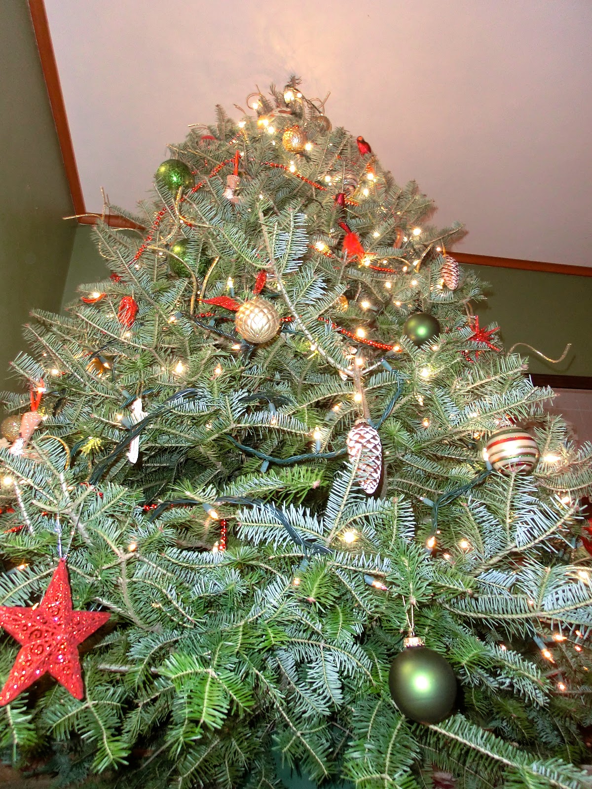 CeliVisitsWisconsin Tannenbaum schmücken mit Jami! )