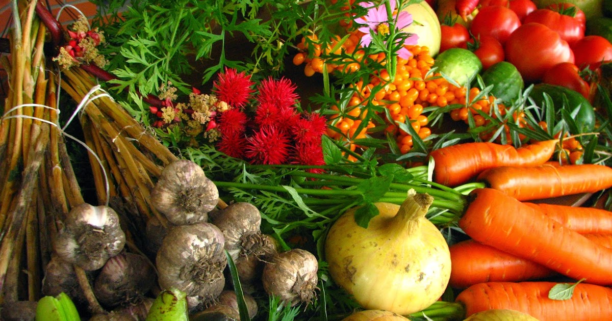 what healthy foods should i buy what healthy foods should i buy