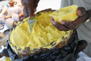 African Shea Butter is made from the nut of the Shea Tree