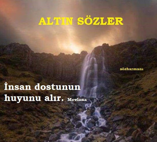 Mevlana Ve Ask Google Da Ara Guzel Soz Hoslanma Sozleri Ozlu Sozler