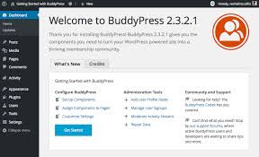 How to install and configure the BuddyPress for WordPress