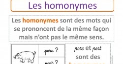 cours L’homonymie