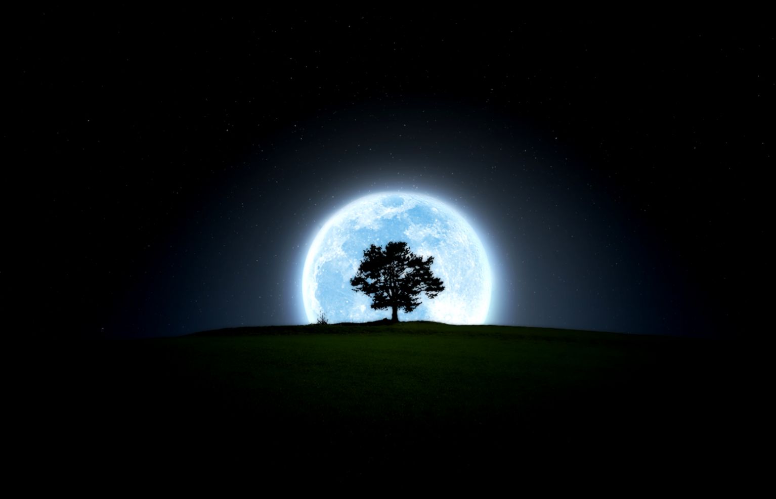 181 Moon HD Wallpapers  Backgrounds   Wallpaper Abyss