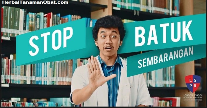 Tanaman Obat Herbal