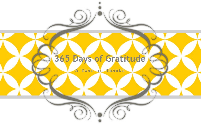 365 Days of Gratitude