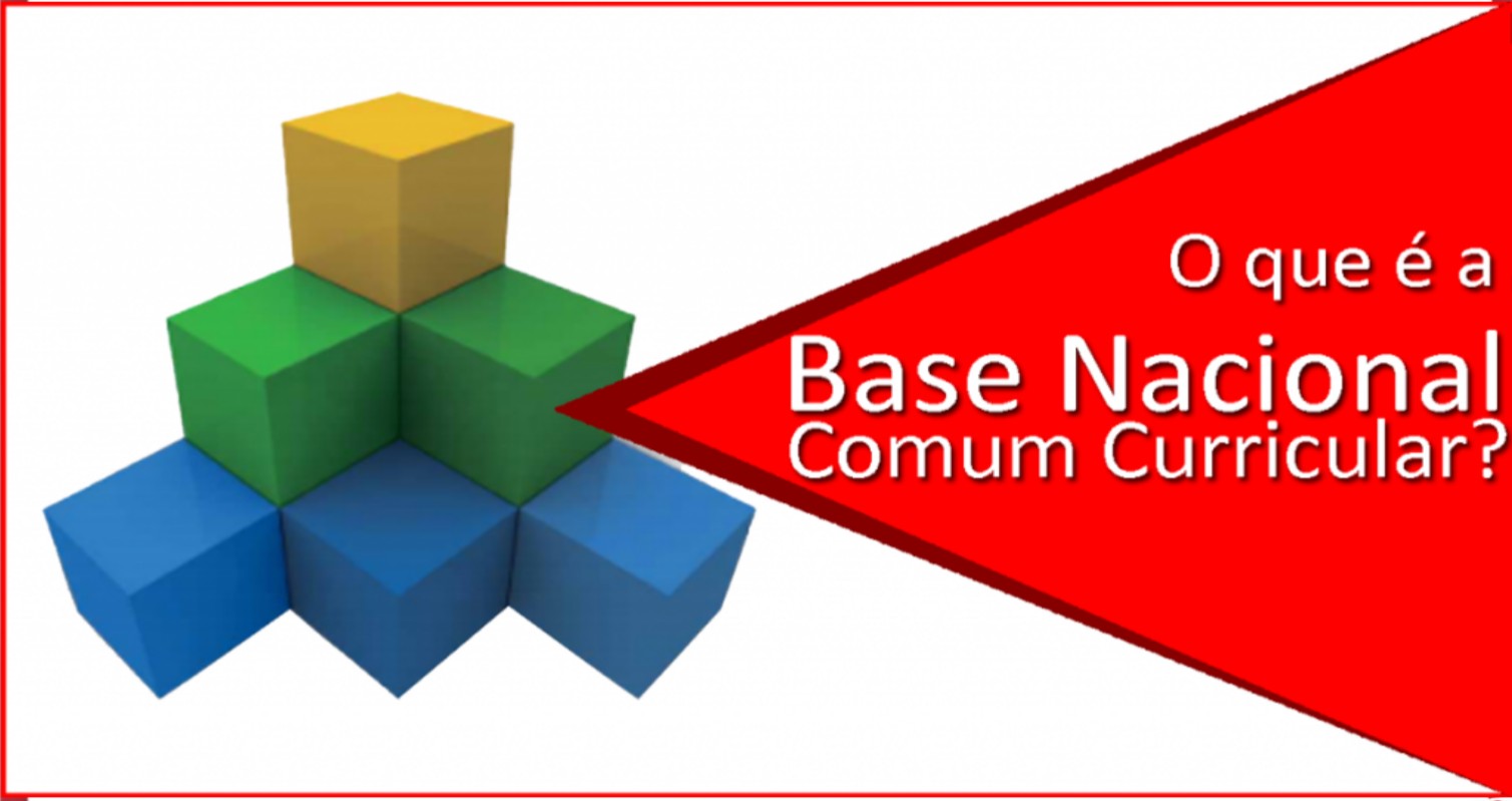 BNCC O que é a Base Nacional Comum Curricular e qual é o seu objetivo Atividade para imprimir