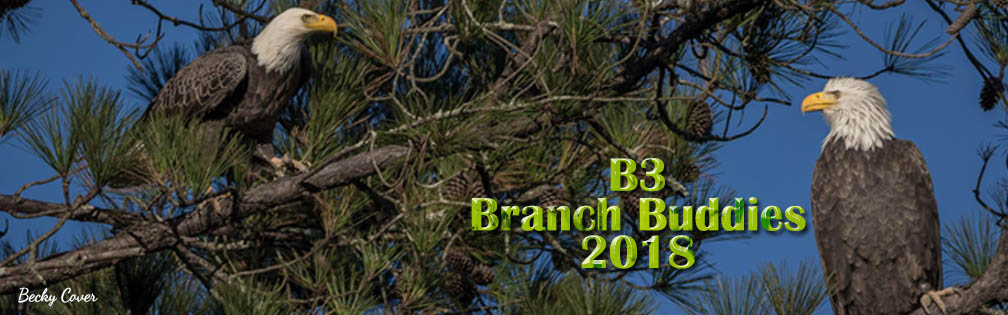 B3 Branch Buddies 2018