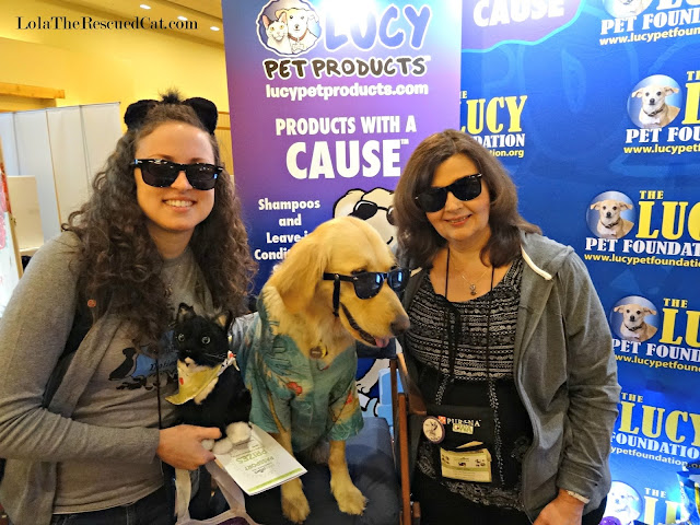 lucy pet foundation