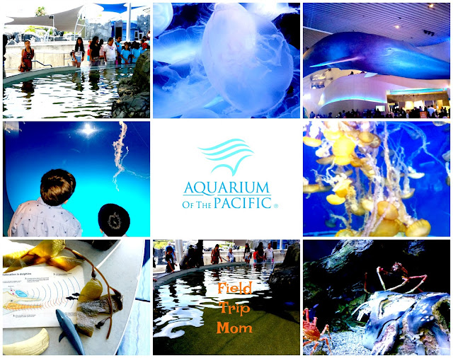The Aquarium In Long Beach Coupons The Aquarium In Long Beach Coupons