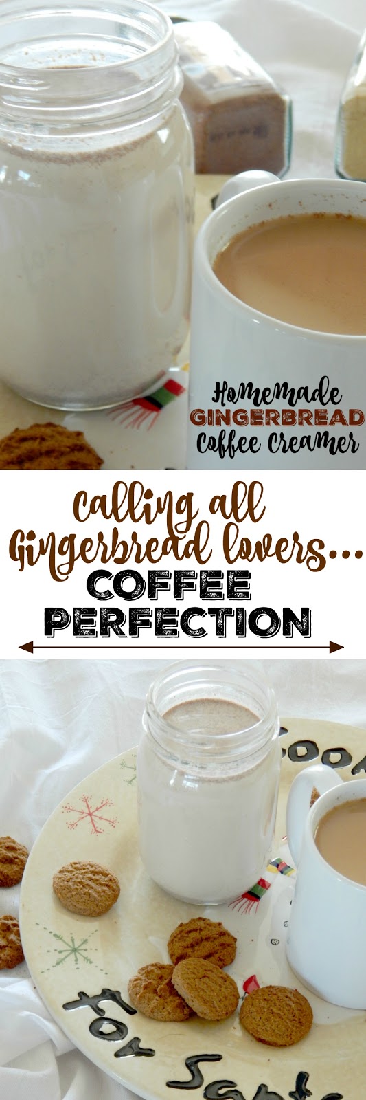 Homemade Gingerbread Coffee Creamer + Cuisinart Coffeemaker Giveaway...this is the flavored coffee creamer of the holiday season!  Tasting just like a gingerbread cookie, full of cinnamon, ginger, nutmeg and more - make a jar for the month of December! (sweetandsavoryfood.com)