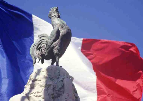 Coq-gaulois.jpg Coq-gaulois.jpg