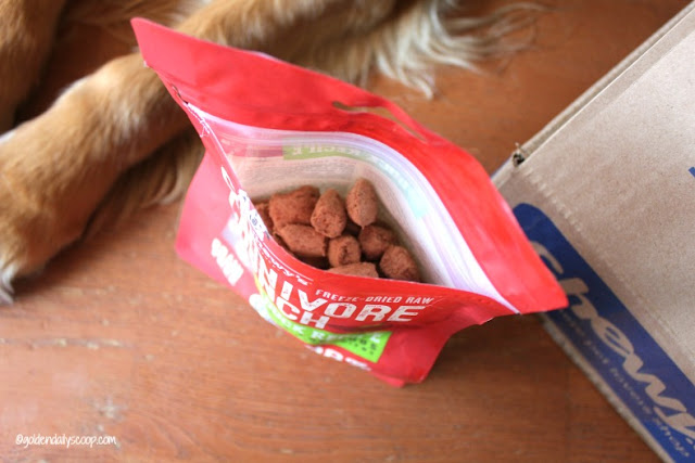 introducing your dog to a raw diet with freeze-dried dog treats