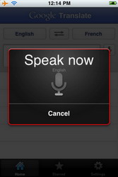 Google Translate iPhone app debuts