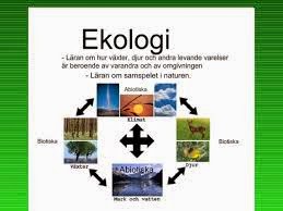 Pengertian Ekologi | Pengertian ILMU