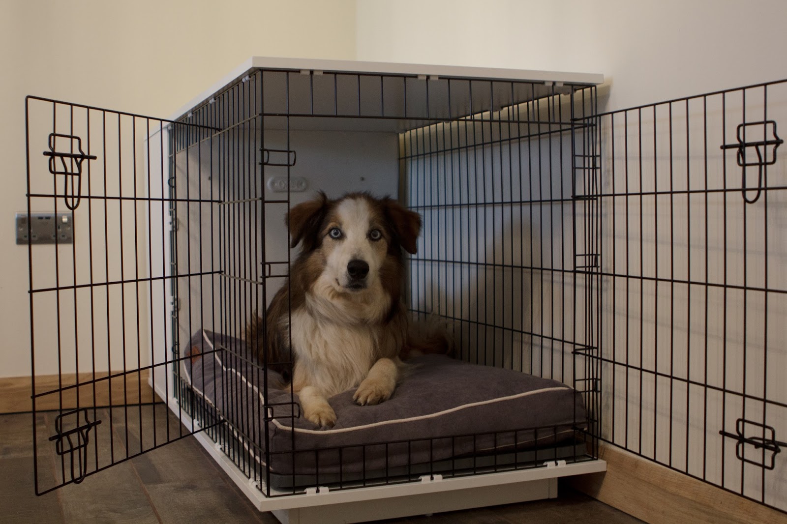 Team Stokey: Omlet Fido Studio Dog Crate