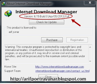 Internet Download Manager 6.15 build 8