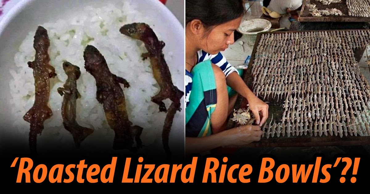 Would You Eat This? Roasted ‘Lizard Rice Bowls’ are Very Popular In Vietnam & Netizens are