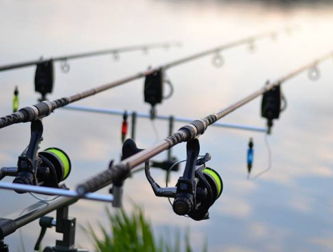 99 Arti Mimpi Mancing Dapat Ikan Aneh Menurut Primbon Islam Hindu Dan Kristen Arti Mimpi Mancing