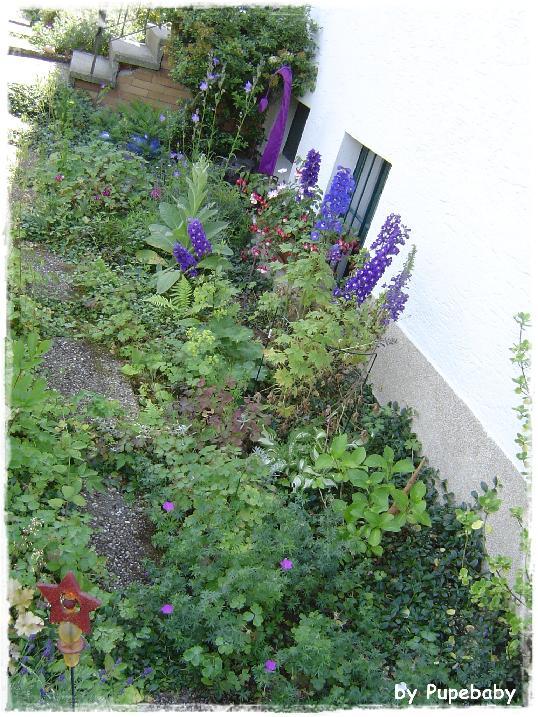 Pupe*s Fadenkreuz °° ab ins Beet,