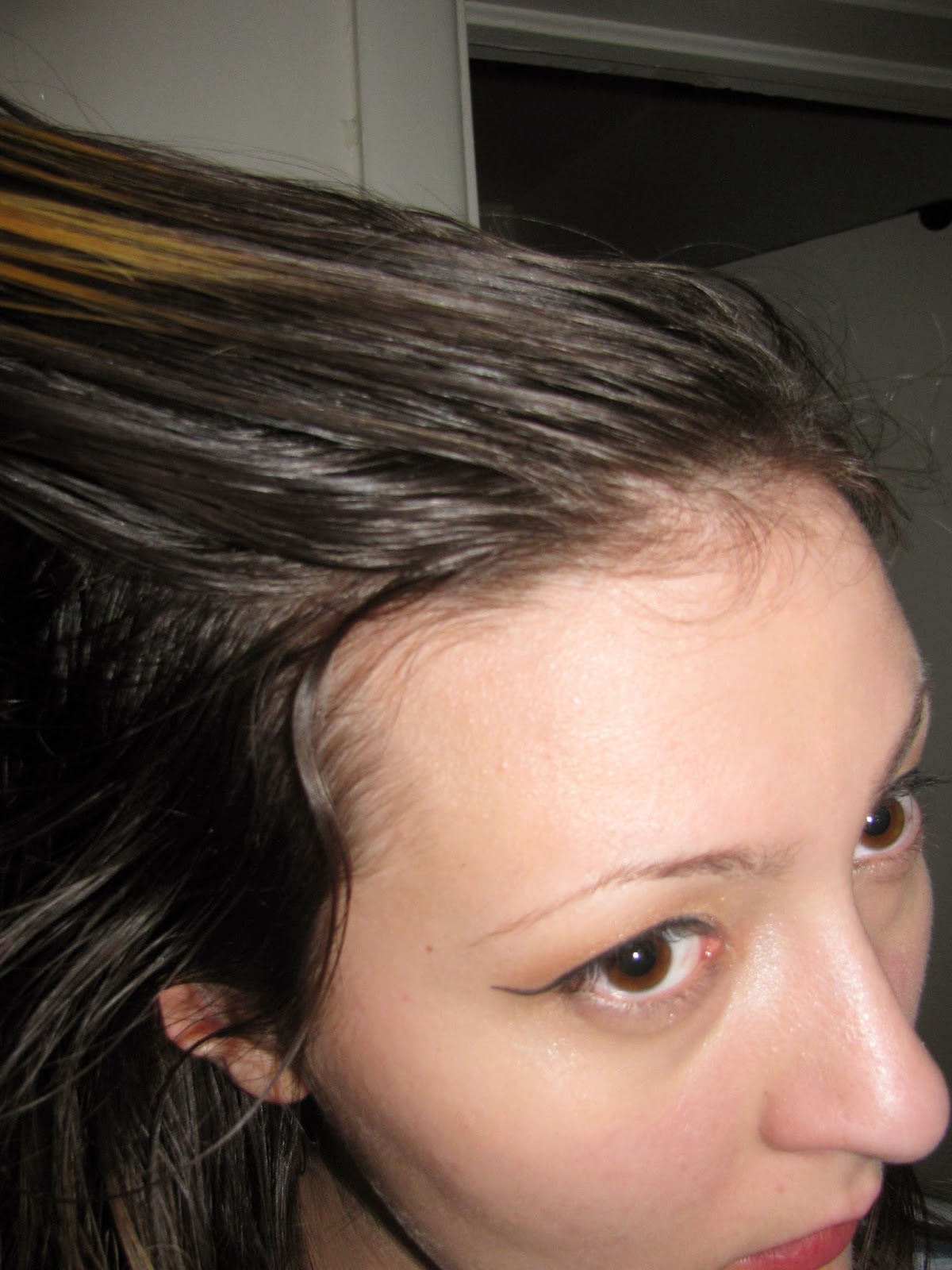 Matte Kat The Hair Chronicles No Shampoo Challenge