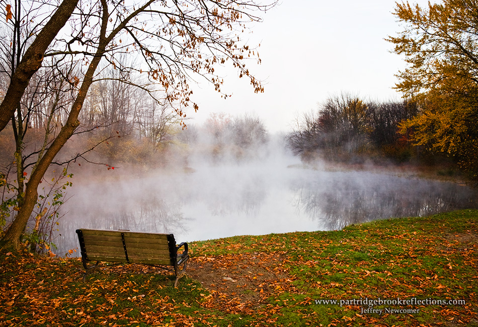 Getting it Right in the Digital Camera Ashuelot River Park, Photo Album