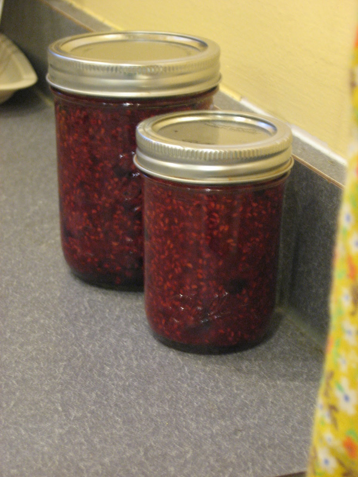 Happy Home Preserving Fruit Canning Raspberry Jam